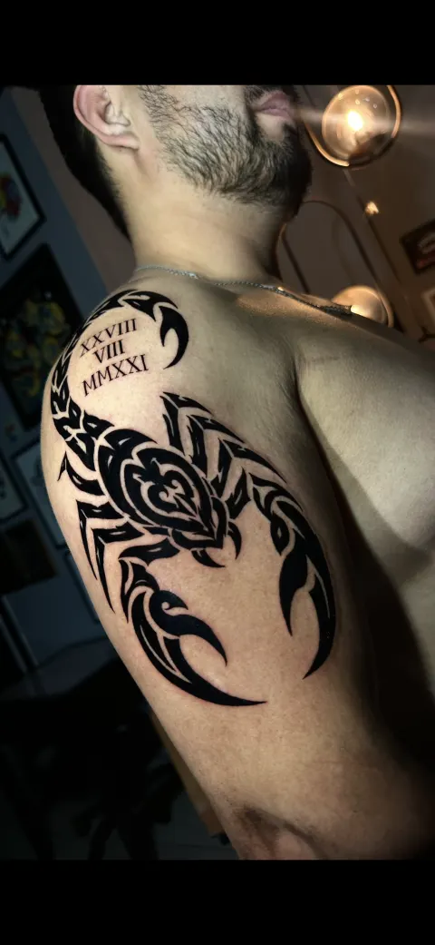 Whip shading 2